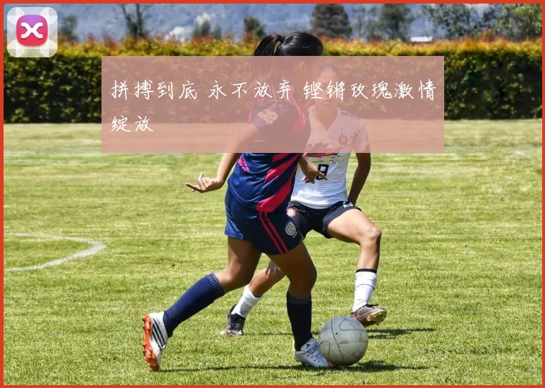 拼搏到底 永不放弃 铿锵玫瑰激情绽放