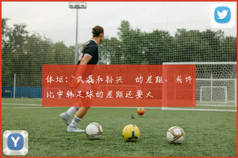 体坛：武磊和孙兴慜的差距，或许比中韩足球的差距还要大