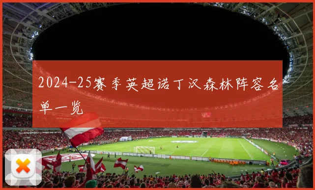2024-25赛季英超诺丁汉森林阵容名单一览